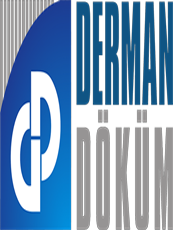 Ayspa Güvenlik Kamera Sistemleri